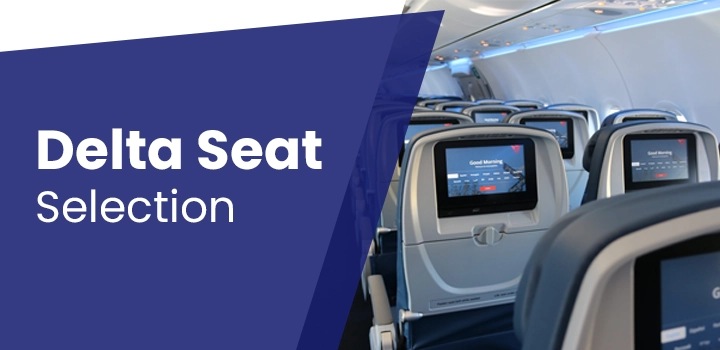 Delta Flights Seat